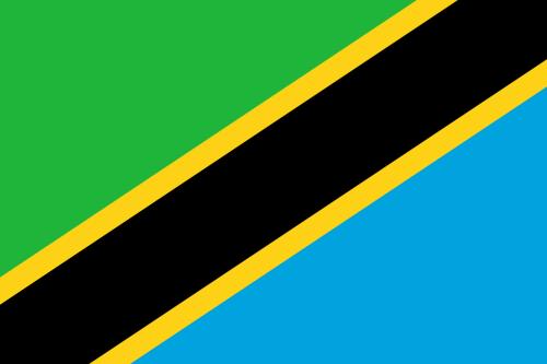 Tanzania's flag